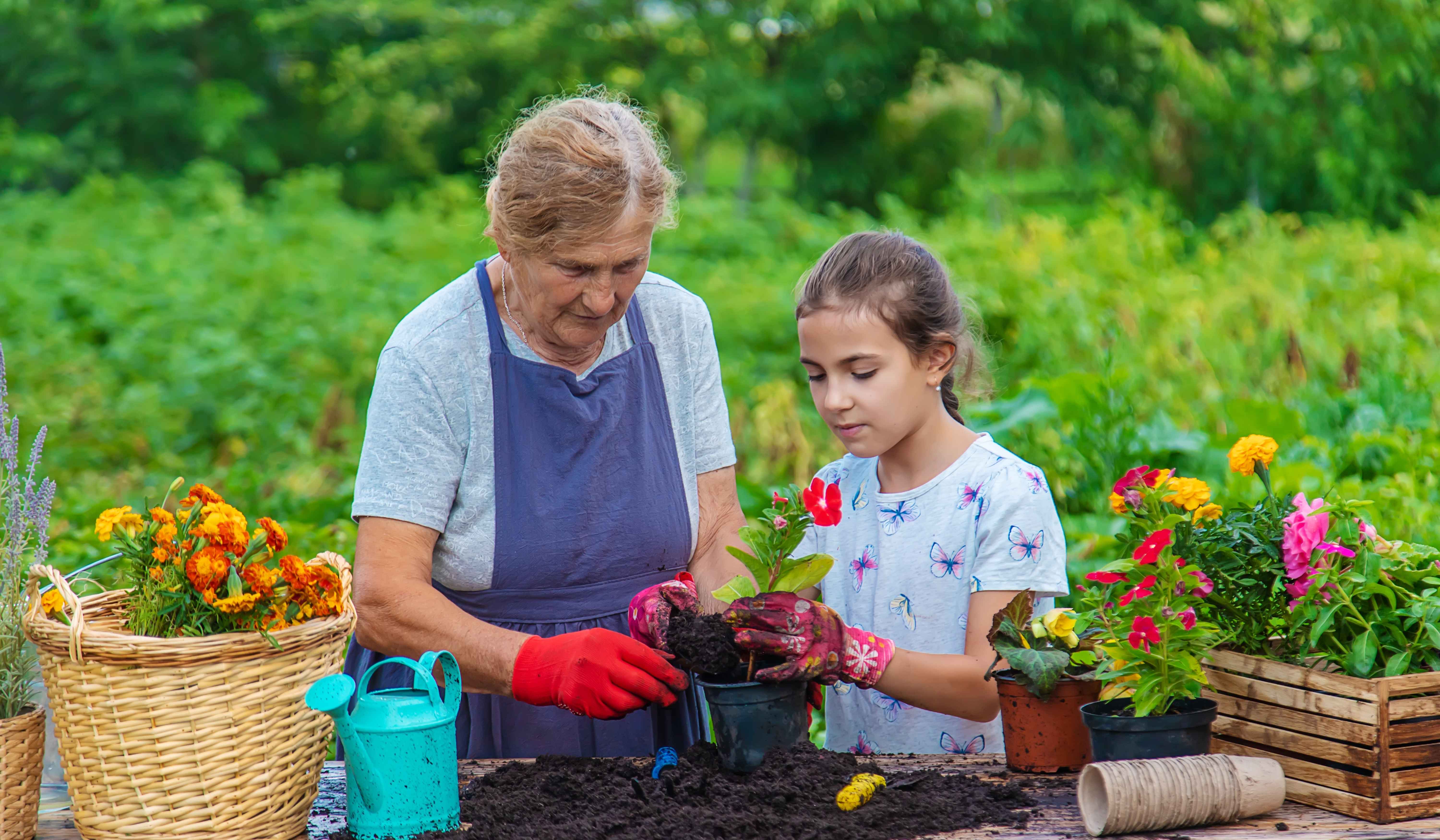 A grandma and her granddaughter plant flowers together before the end of summer