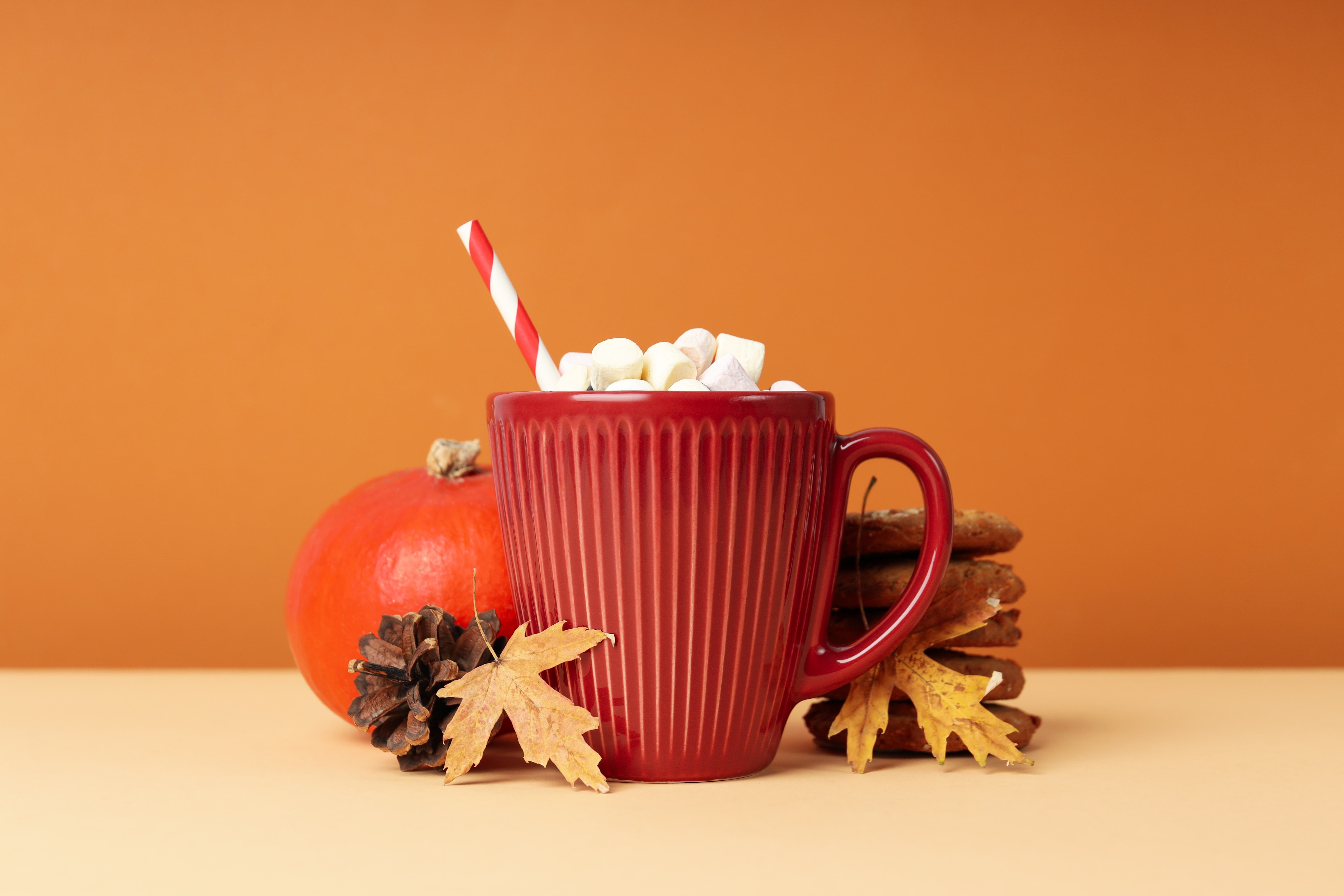 A delicious mug of hot chocolate to enjoy during the holiday season