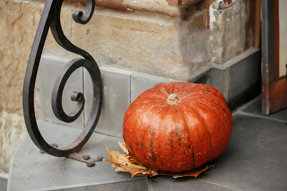 A decorative pumpkin to make the front porch look extra cozy for fall.