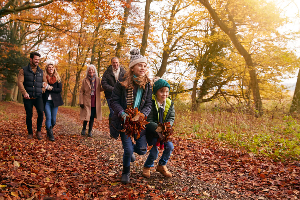 A family enjoys fall activities like hiking along a trail in the woods.