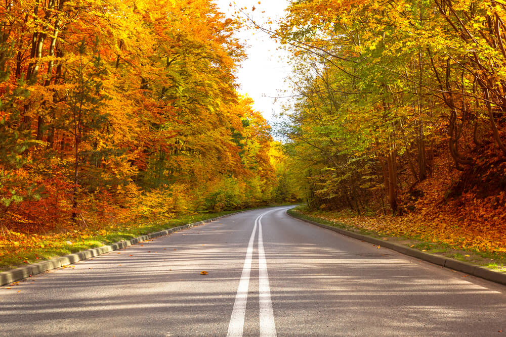 Autumn leaves make for beautiful road trip scenery.