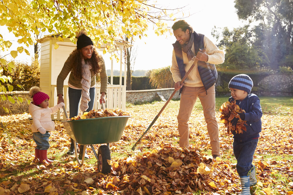 A family works together to rake up the autumn leaves in their backyard.