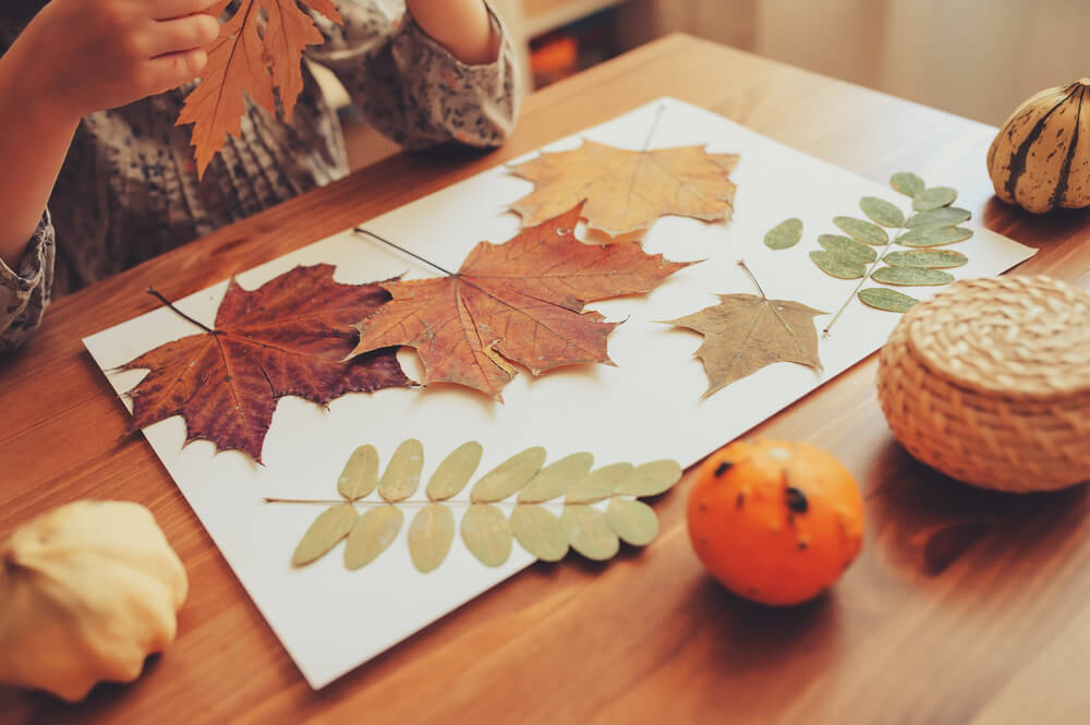 Making a scrapbook out of autumn leaves is one of the most creative fall activities.
