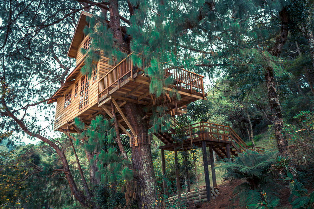 A luxury treehouse in the woods makes a cool travel destination.
