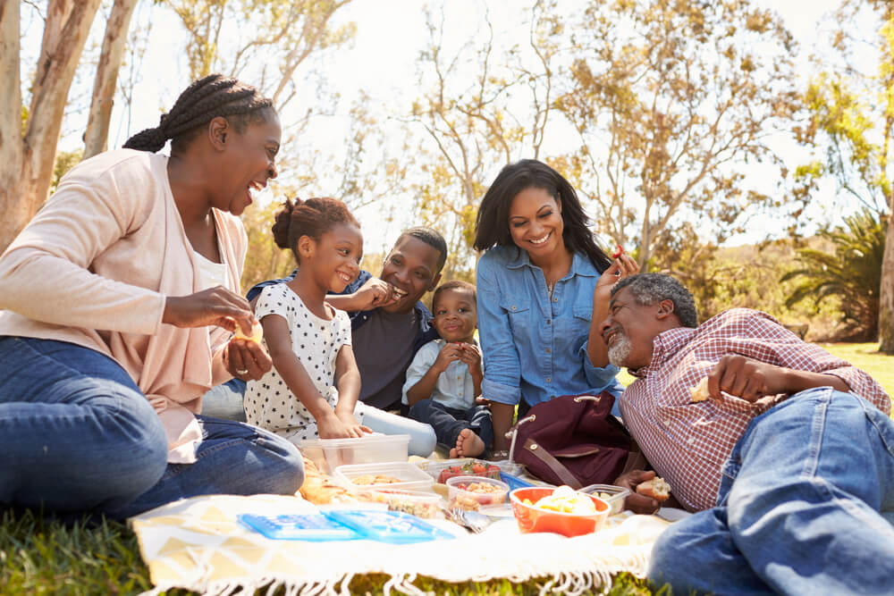 A family strengthens their relationship by going on a picnic together.