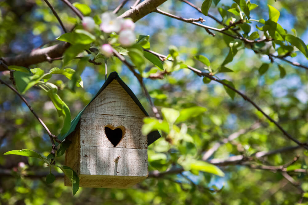 A cute birdhouse hangs from a tree in a married couple’s backyard.