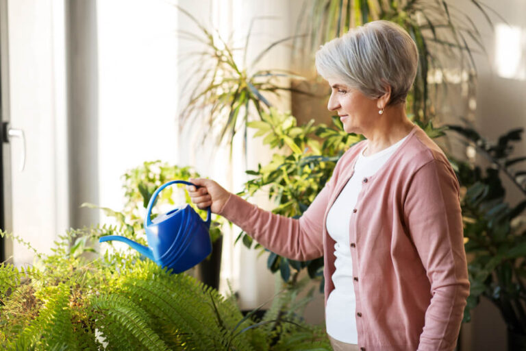 A senior woman takes good care of her indoor plants.