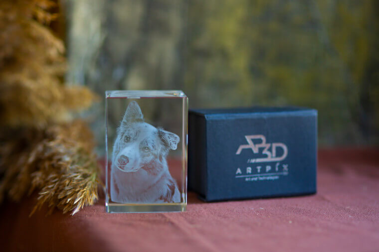 A beautiful photo of a beloved pet dog engraved inside a 3D Crystal.