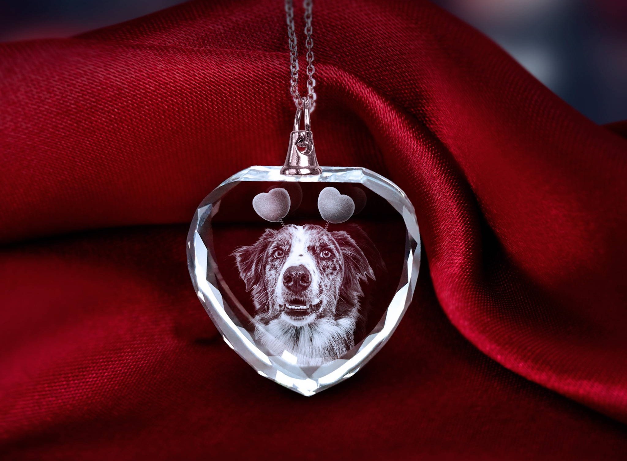 An adorable picture of a dog engraved inside a heart-shaped necklace for Valentine’s Day.