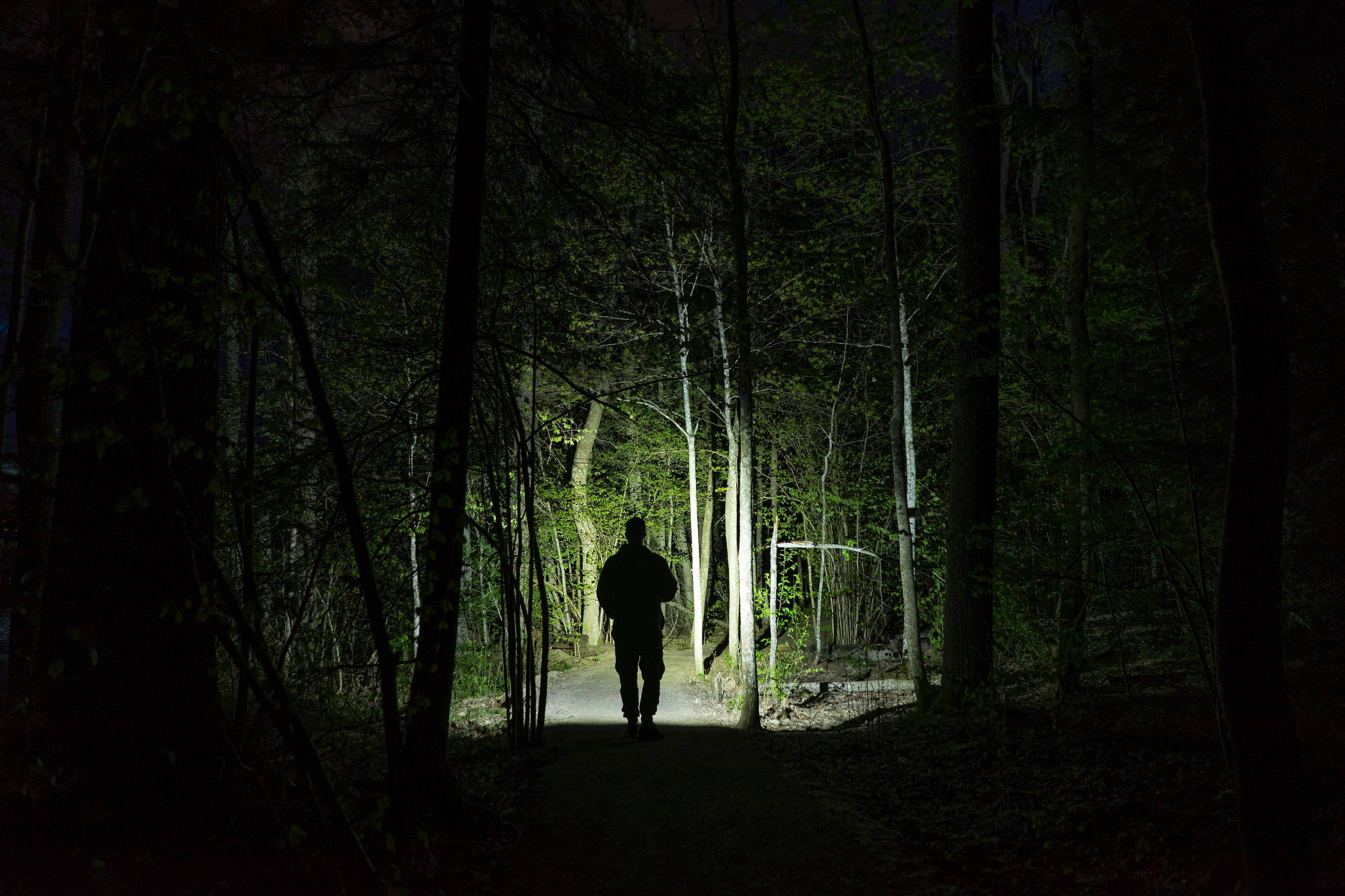 Man walking in a forest at night