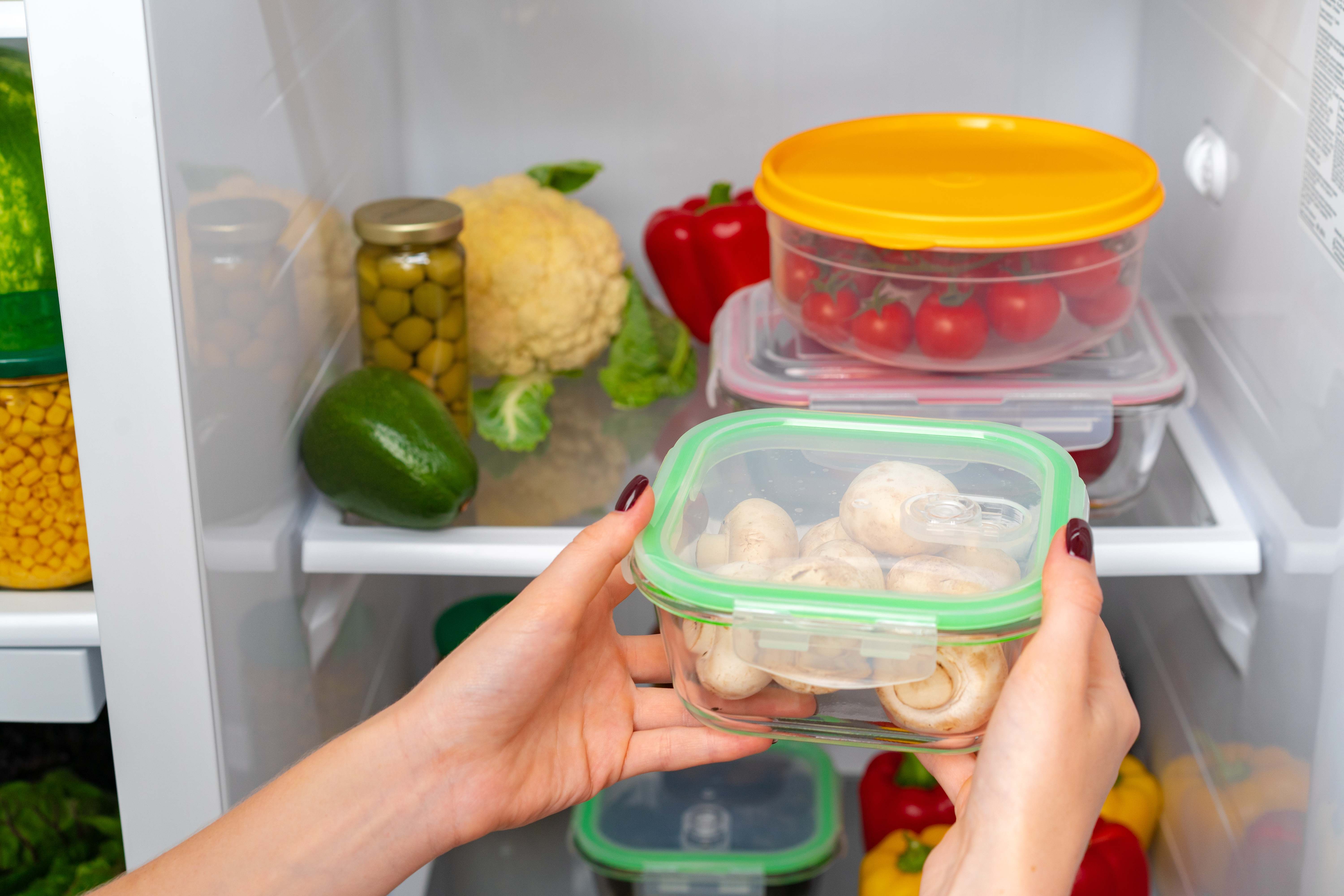 A responsible mother fills her fridge with fresh vegetables.