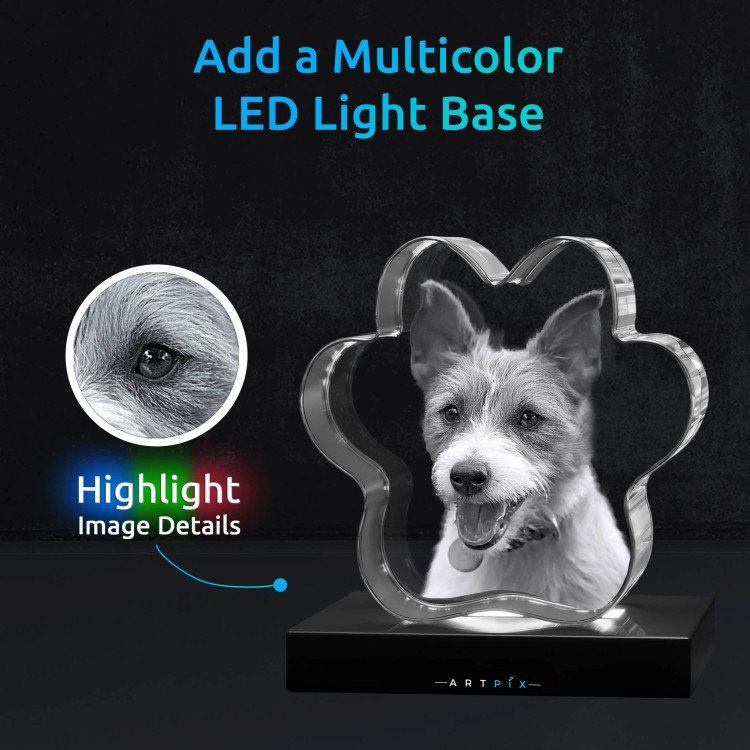 3D Pet Paw Crystal with photo inside #1