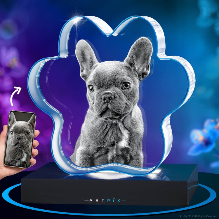 3D Pet Paw Crystal mother's day gift idea for 2024