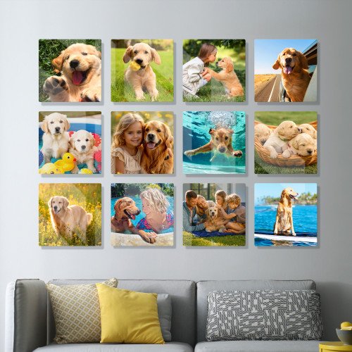 10x10 Dog Set of Glass Tiles with photo inside