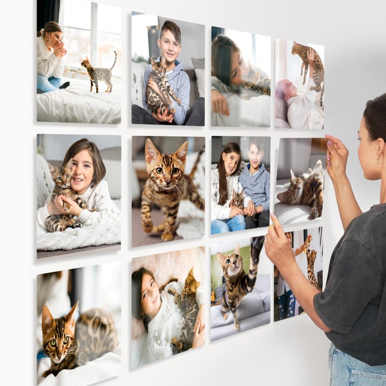 8x8 Cat Lovers Set of Glass Tiles with photo inside