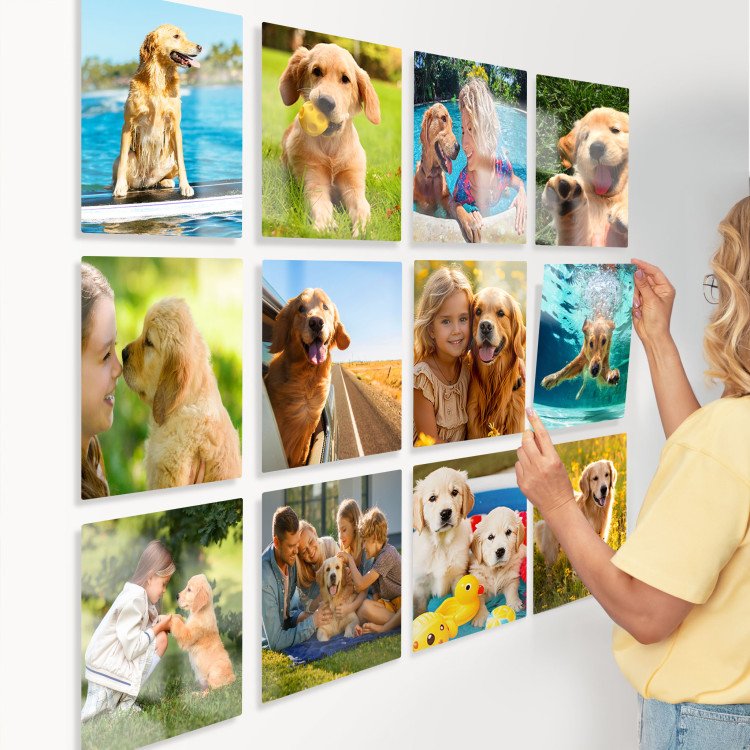 8x8 Dog Lovers Set of Glass Tiles with photo inside