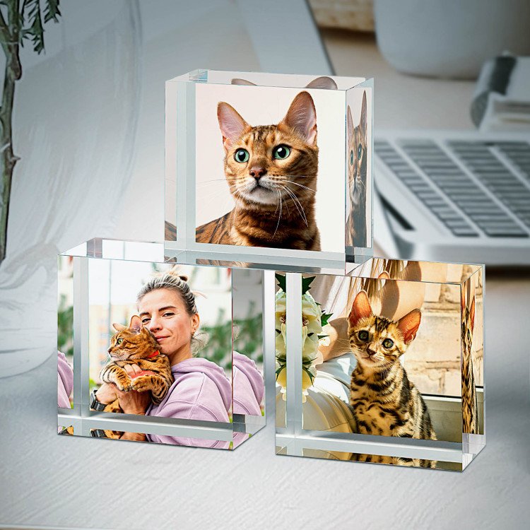 4x4 Cat Lovers Set of Acrylic Blocks