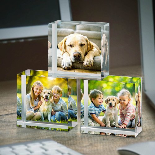 4x4 Dog Lovers Set of Acrylic Blocks