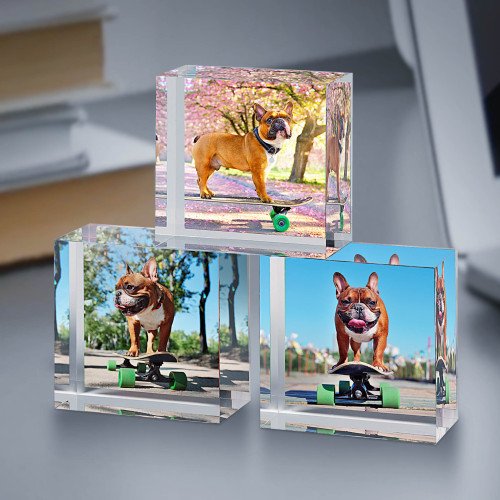 4x4 Dog Set of Acrylic Blocks