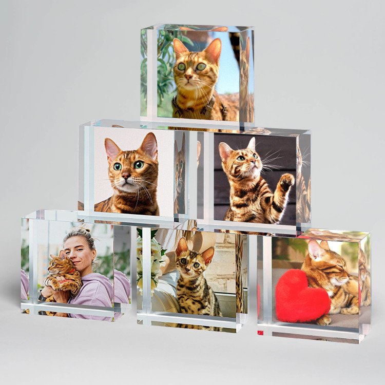 2x2 Cat Lovers Set of Acrylic Blocks