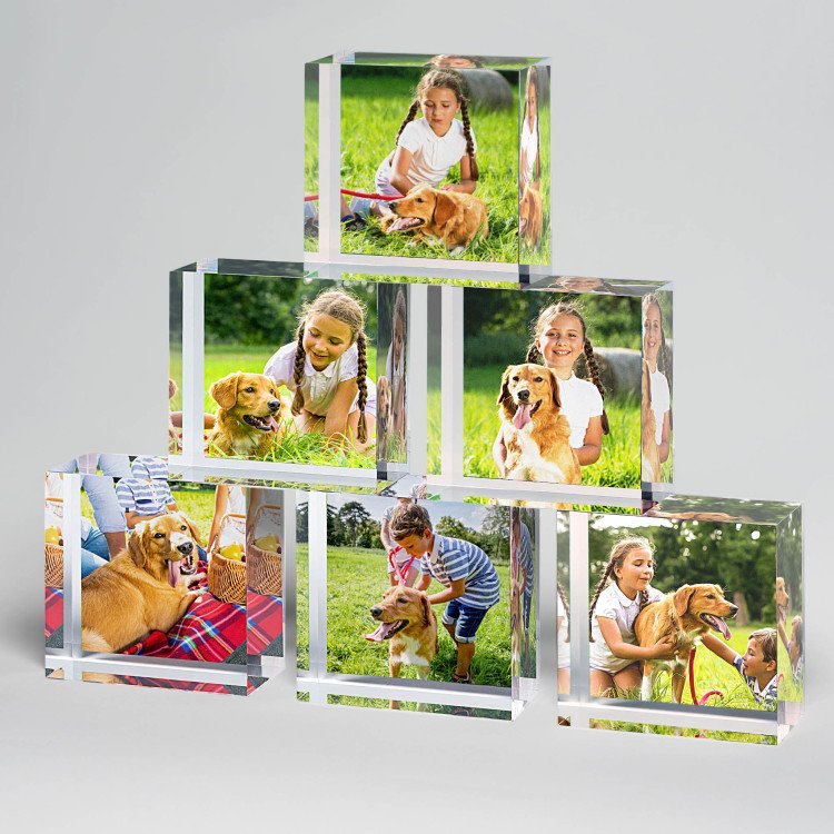 2x2 Dog Lovers Set of Acrylic Blocks