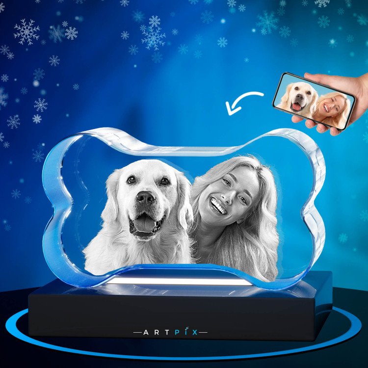 Pets 3D Bone Crystal Christmas Gift Idea for 2024