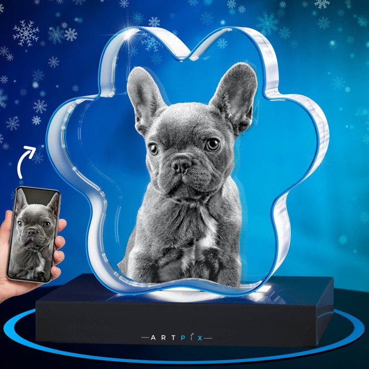 3D Pet Paw Crystal Christmas Gift Idea for 2024