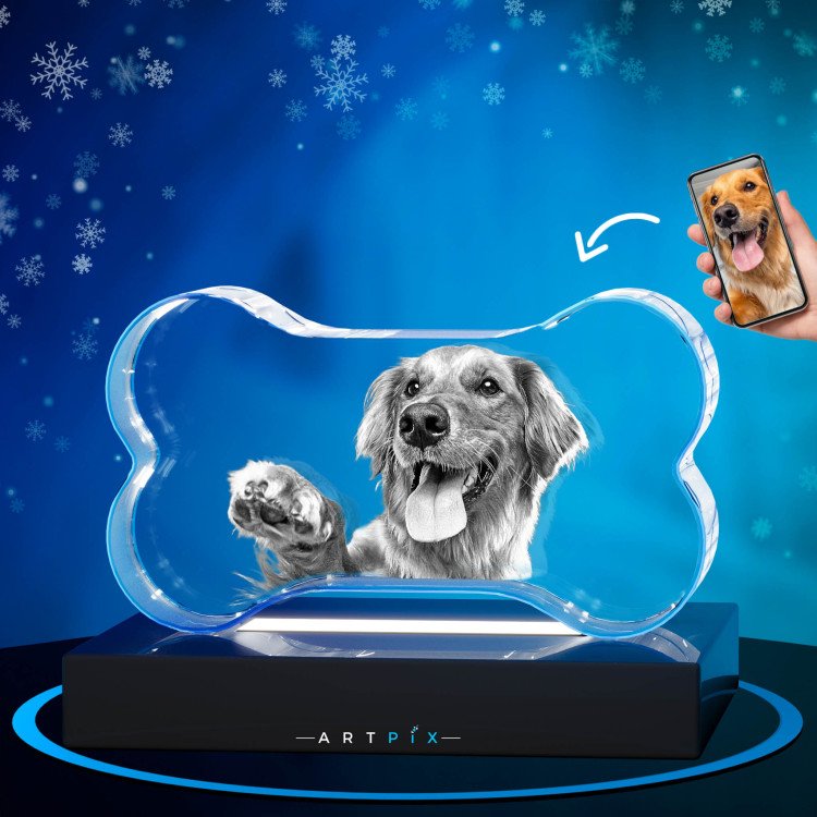 Pets 2D Bone Crystal Christmas Gift Idea for 2024