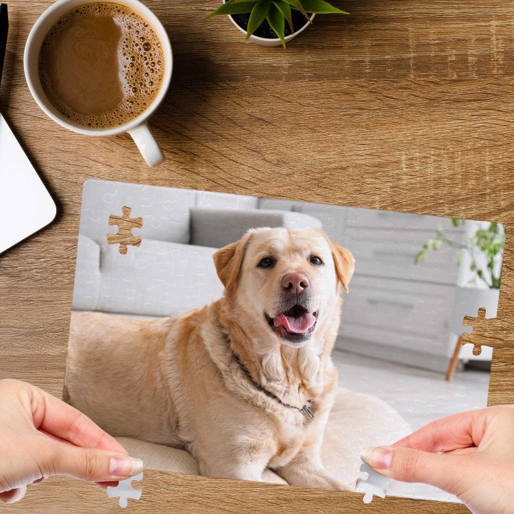 ArtPix 3D Rectangle Photo Puzzle - 126 pieces #2