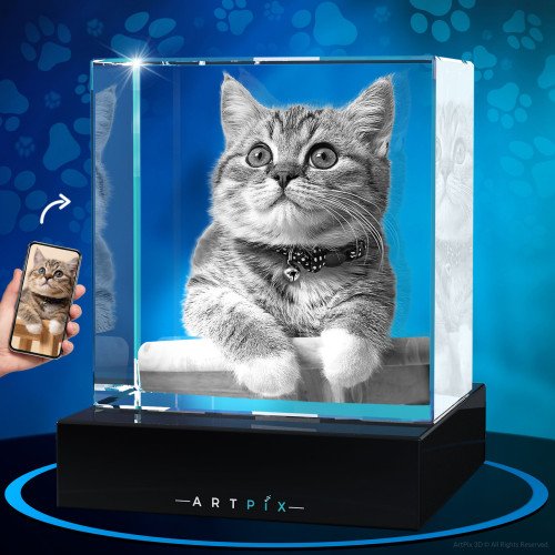 3D Crystal Square for Pet Lovers