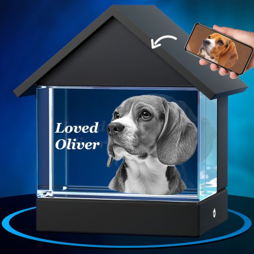 Pet House Urn
