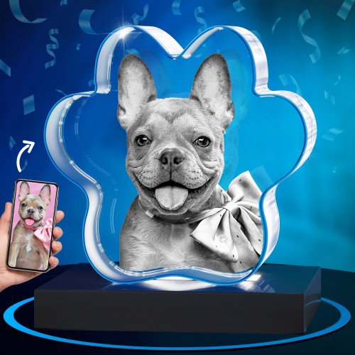 3D Pet Paw Crystal for Birthdays