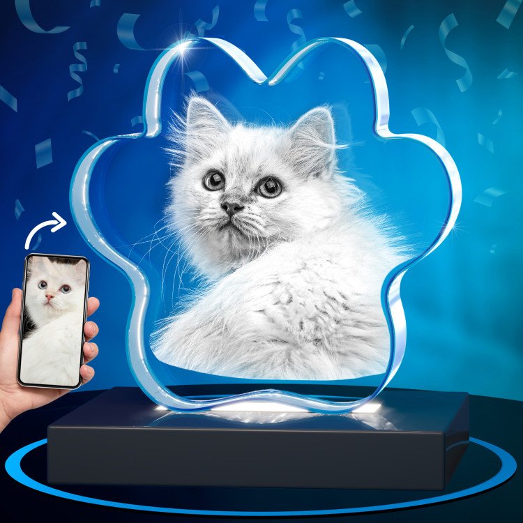 2D Pet Paw Crystal for Birthdays