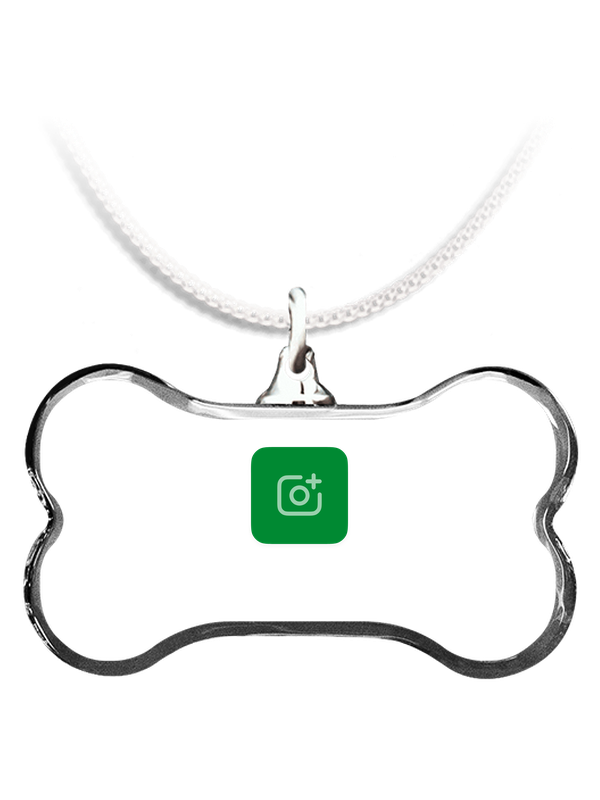 Pets Necklace Bone 3D