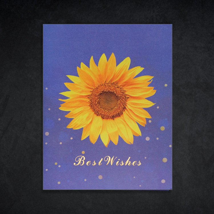 A closed 3D Sunflower Set Card with a floral design on the front
